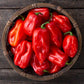 Habanero Pepper - Red