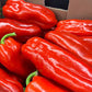 Shepherd Pepper