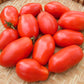 Roma Tomatoes