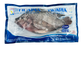Frozen Tilapia Fish - Farmed