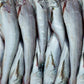 Whiting Fish
