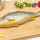 Frozen Yellow Croaker Fish (Head-On)