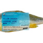 Frozen Yellow Croaker Fish (Head-On)