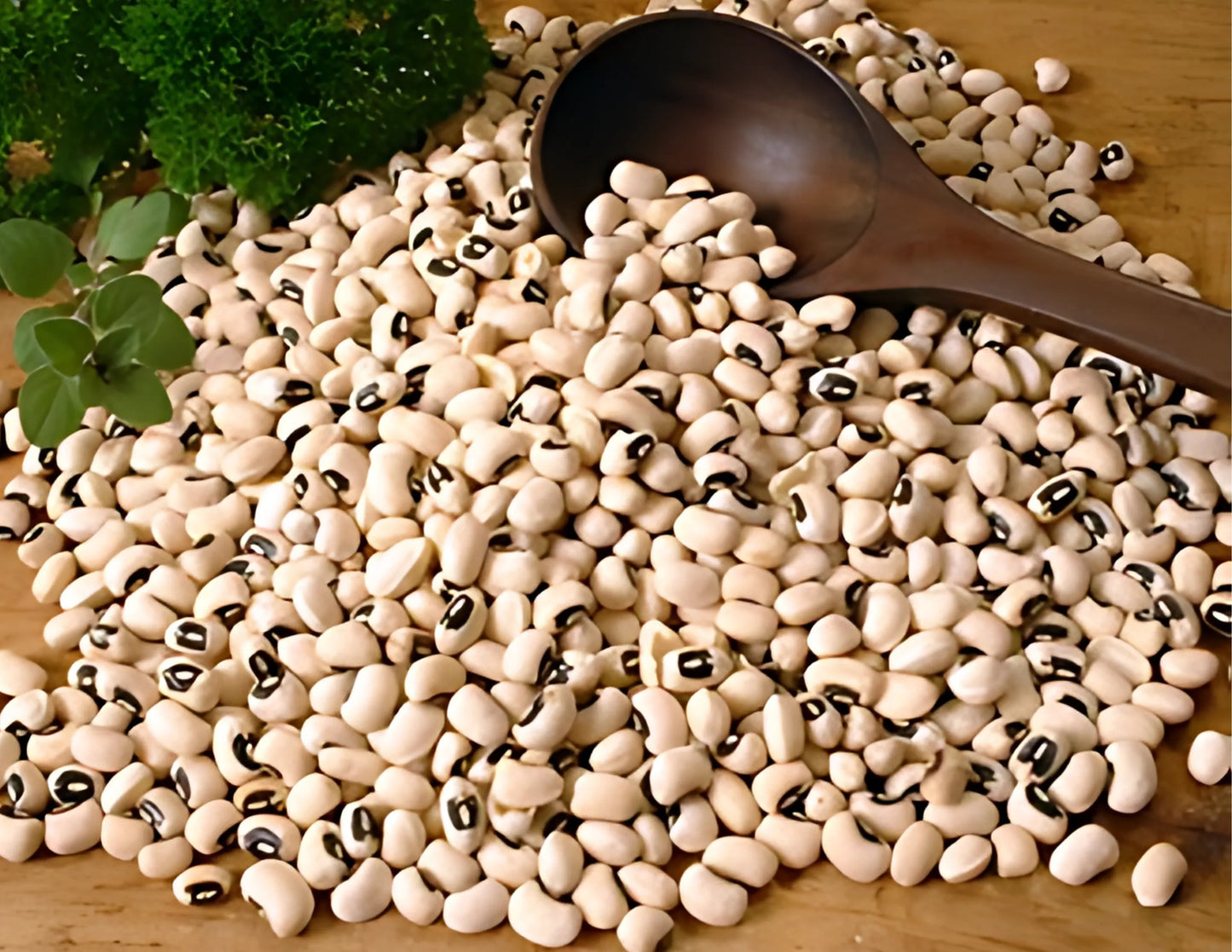 Beans – Black-Eyed / Iron Beans
