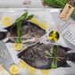 Frozen Tilapia / Koobi Fish - Wild Caught