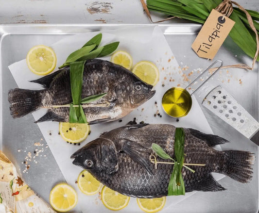 Frozen Tilapia / Koobi Fish - Wild Caught