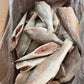 Croaker Fish - Head-Off