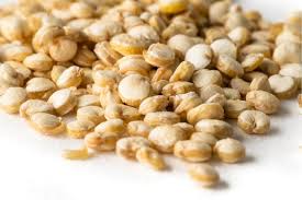 Sprouted Quinoa