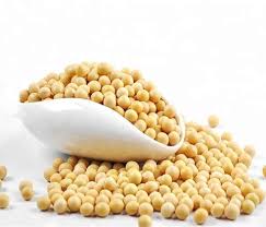 Beans – Soya