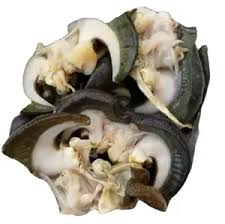 Frozen Fresh Snail Meat