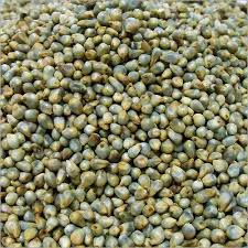 Millet (Joro)