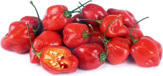 Chilli Pepper – Red