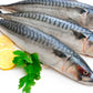 Frozen Mackerel  / Titus / Scumbia Fish