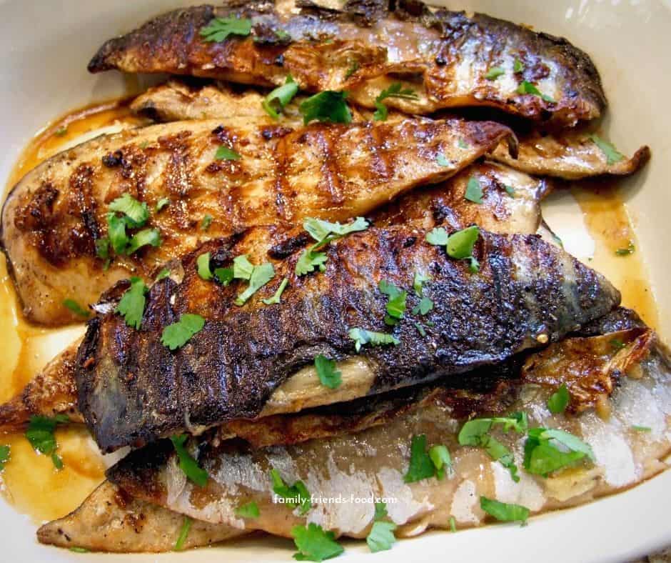 Frozen Mackerel  / Titus / Scumbia Fish