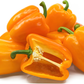 Bell Pepper - 1Lbs