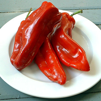 Shepherd Pepper