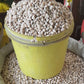Beans – Black-Eyed / Iron Beans
