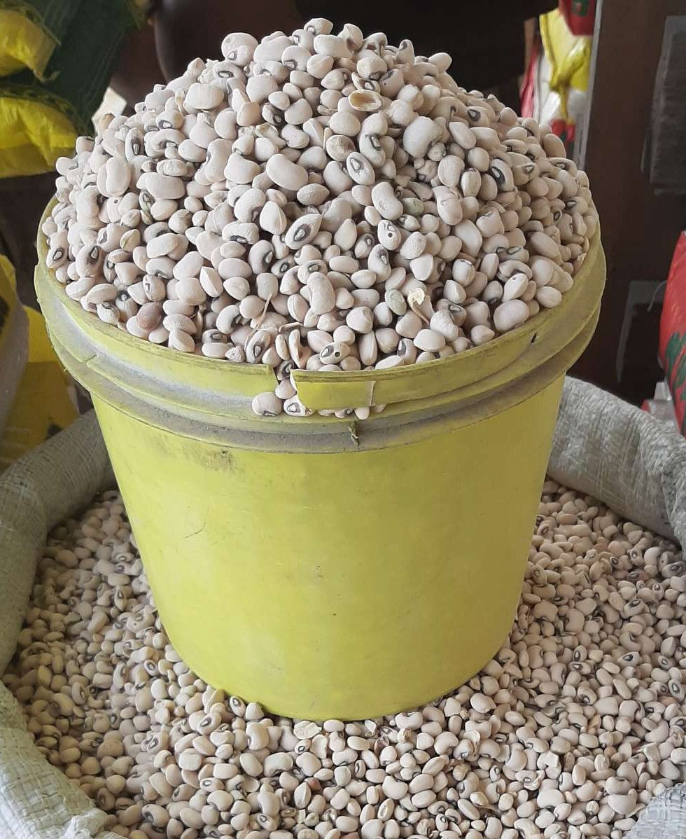 Beans – Black-Eyed / Iron Beans