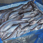 Whiting Fish