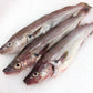Whiting Fish